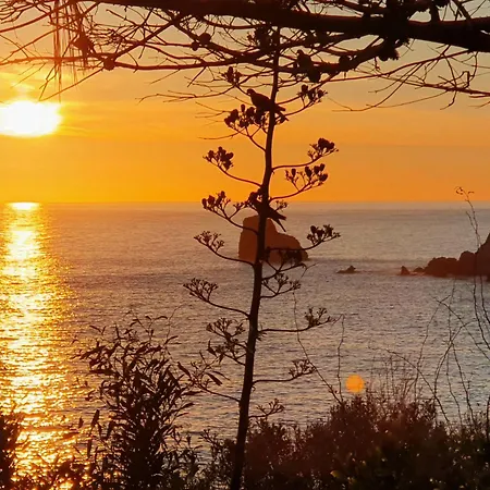Capo Zafferano